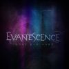 EVANESCENCE - What You Want